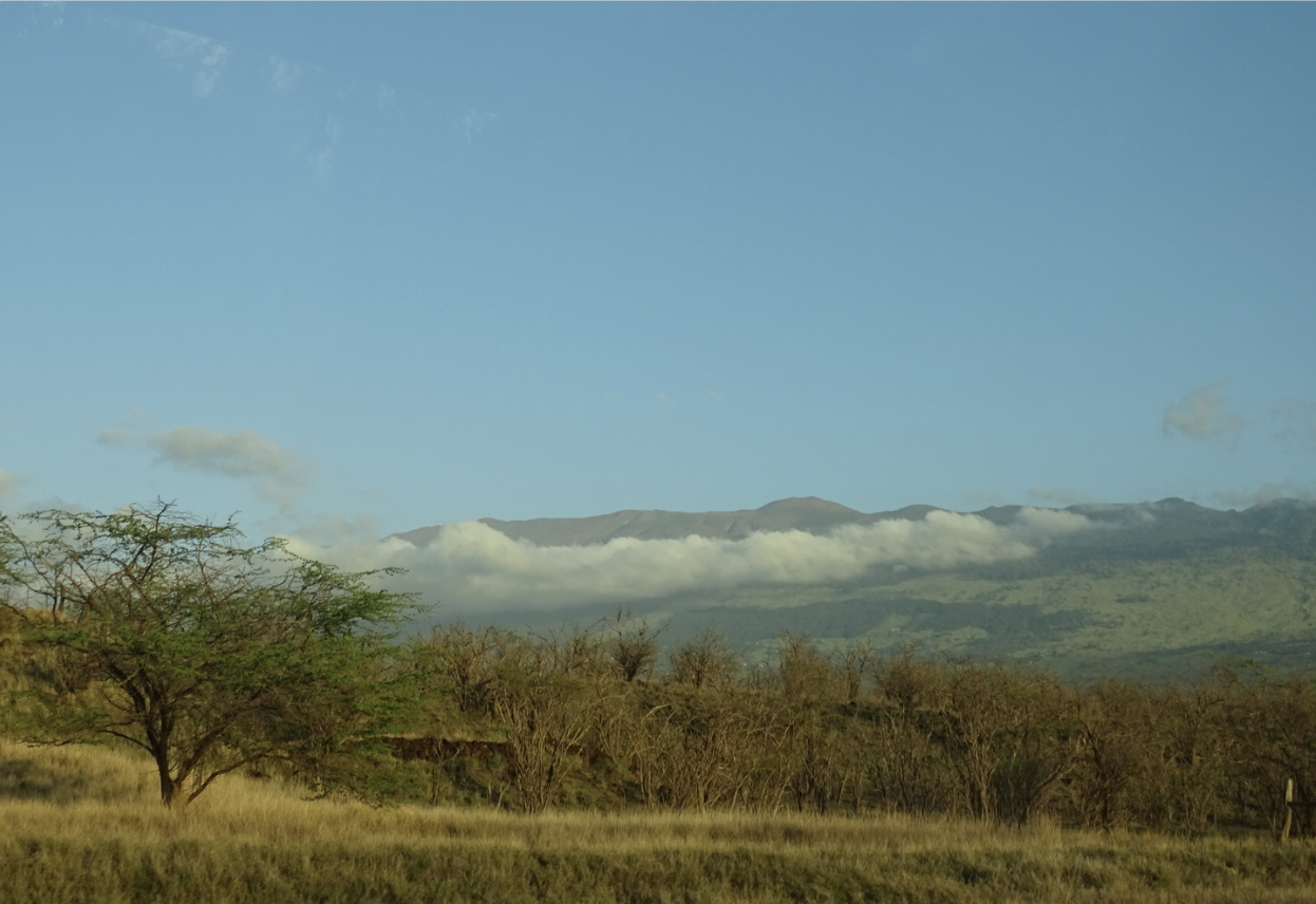Photograph of mountains beneath a line of clouds
